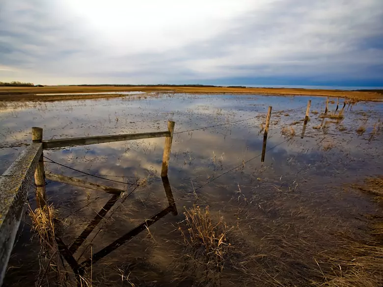 Powódź a zagrożenie epidemiologiczne