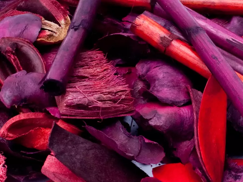 Czy cynamon wpływa na poprawę procesów uczenia się?