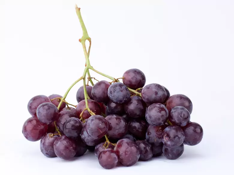 Glukoza jako źródło węglowodanów w żywieniu dzieci