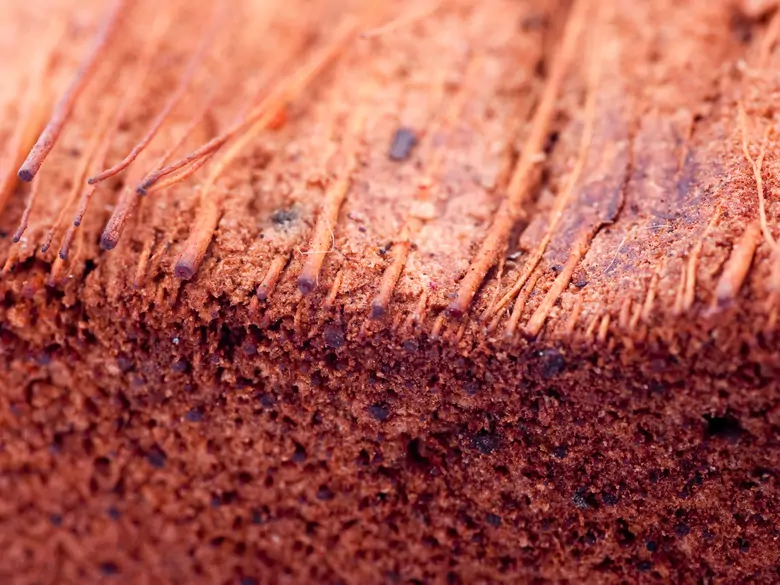 Rogowacenie mieszkowe - przyczyny, objawy, diagnoza, leczenie