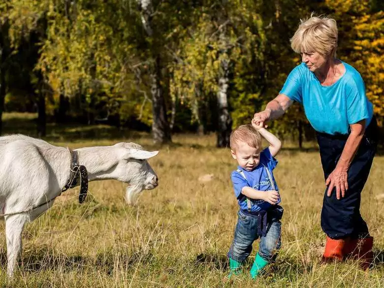 Badania przesiewowe w kierunku alergii - na co warto zbadać dziecko?