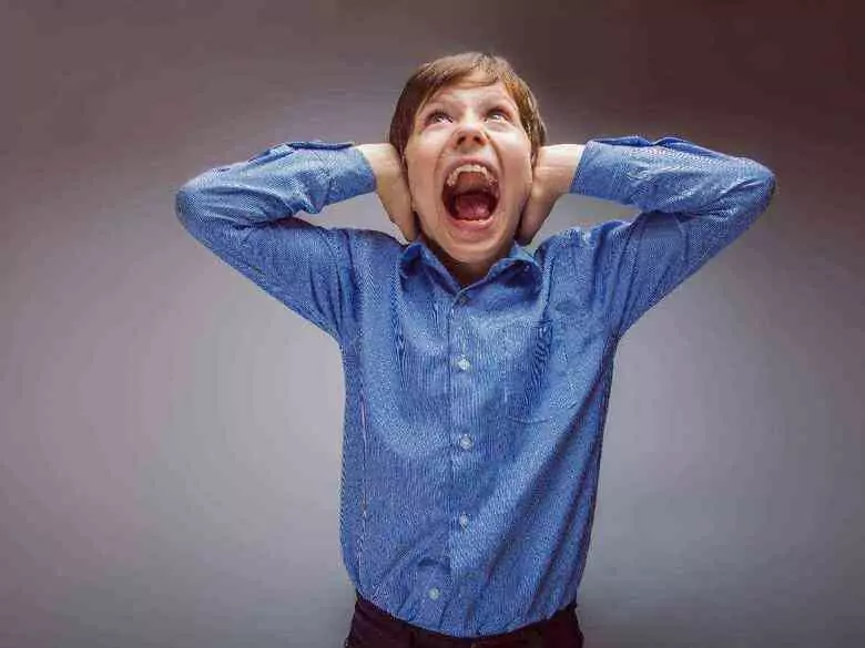 Niedoczulica i przeczulica