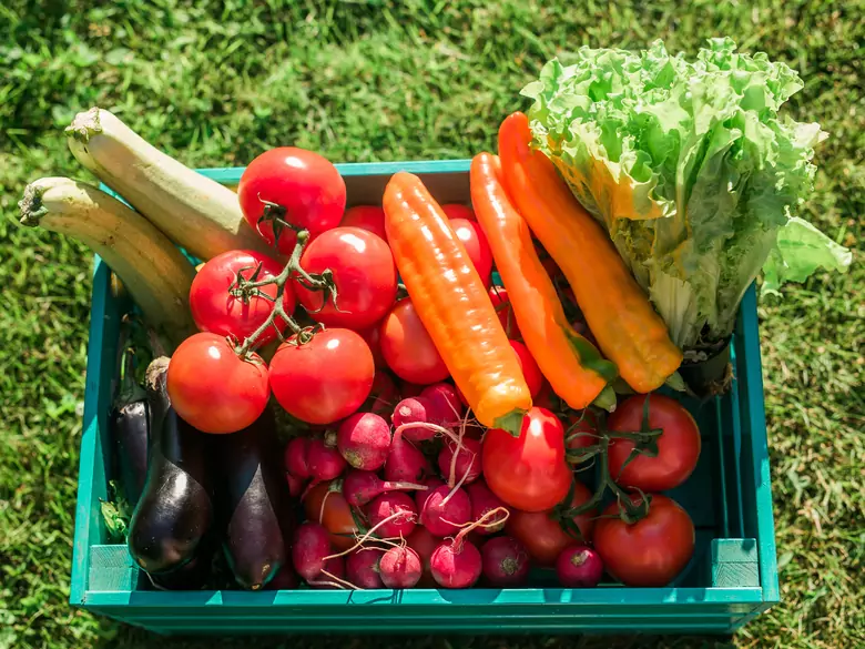 Jakie znaczenie ma wsparcie dietetyczne w terapii onkologicznej? Lekarz onkolog odpowiada