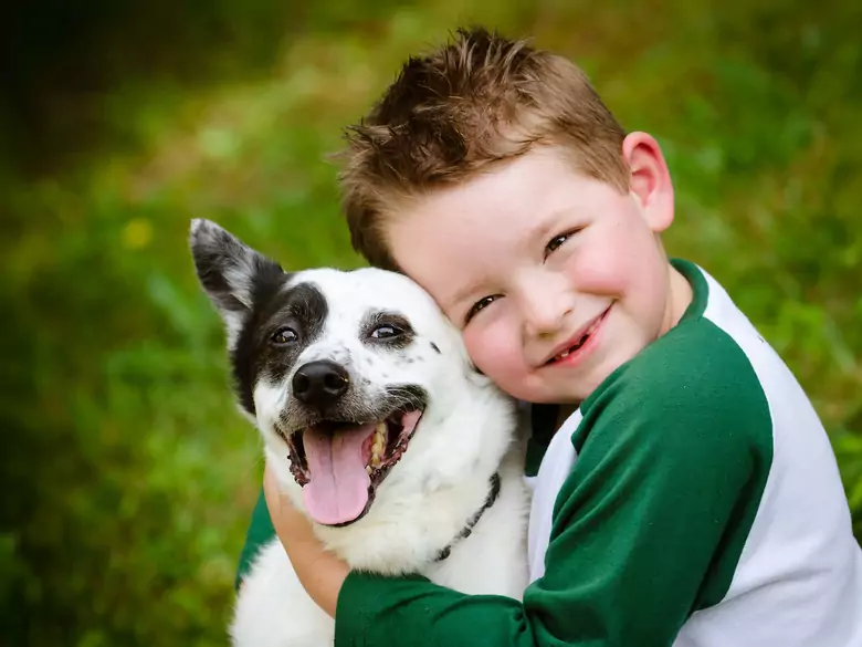 Psy zmniejszają ryzyko zaburzeń lękowych u dzieci