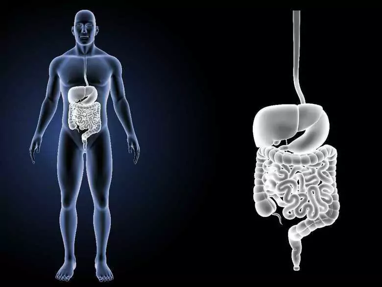 Przygotowanie do kolonoskopii - jak przebiega i na co zwrócić uwagę?