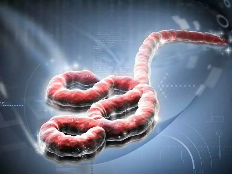 Marker Ca 19-9 - marker raka układu pokarmowego