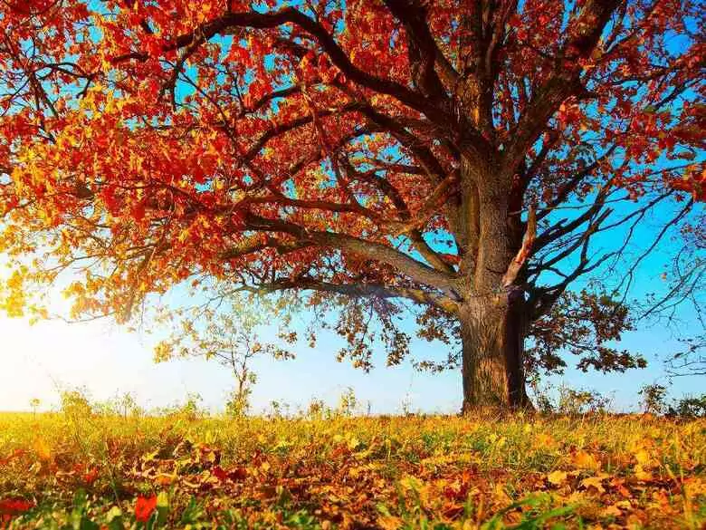 Demakijaż z funkcją nawilżenia. Must-have dla cery jesinią