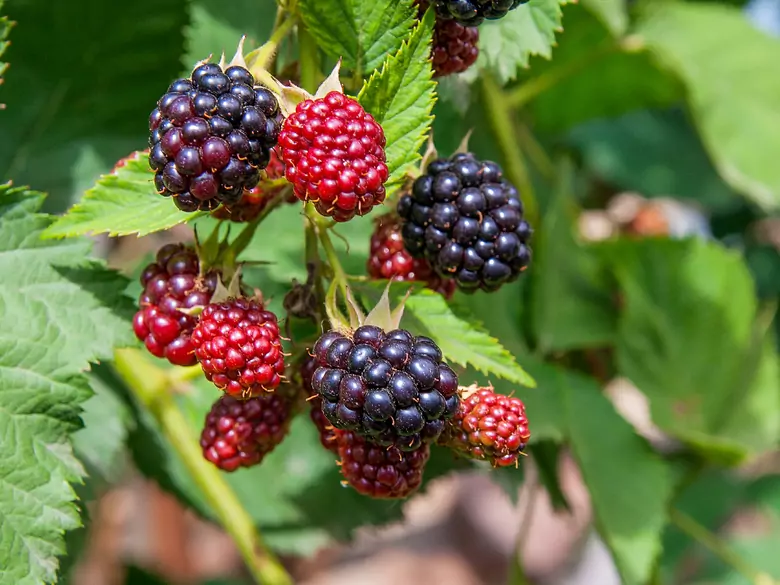 Nawilżenie, regeneracja i letni relaks. Bezcenny rytuał pielęgnacyjny dla ciała