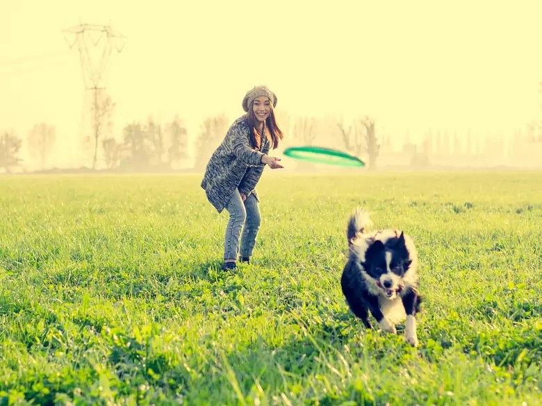 Wpływ zwierząt domowych na zdrowie psychiczne ich właścicieli