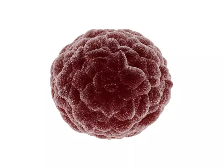 Odkryto kolejny mechanizm, w którym nowotwory zwodzą układ odpornościowy