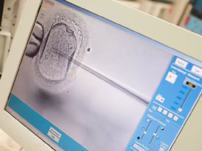 Niewykluczeni z rodzicielstwa