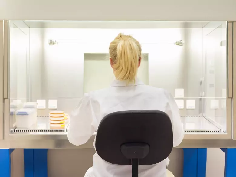 Stwardnienie rozsiane (sclerosis multiplex – SM)