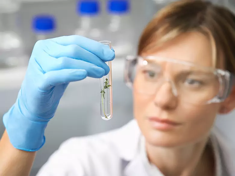 Marker CEA - marker rak jelita grubego