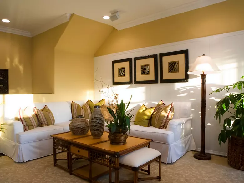 Jak barwy wpływają na emocje, produktywność i doświadczenie pracy?