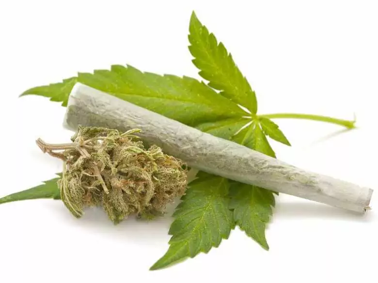 Walka czeskiego rządu z narkomanią. Nawet milion Czechów bierze narkotyki i nadużywa leków!