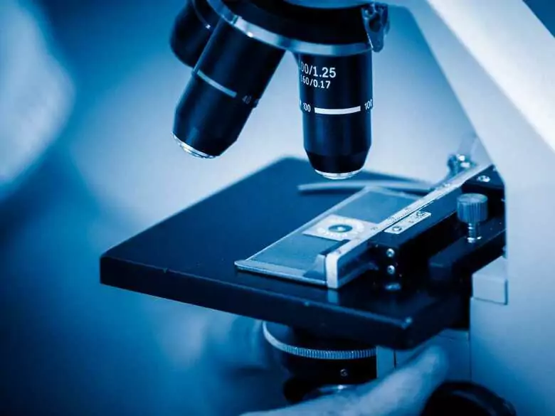 Polsko-francuski zespół naukowców nagrodzony za opracowanie fluorescencyjnych barwników