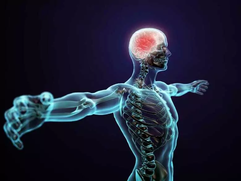 Zrozumieć chorobę Alzheimera