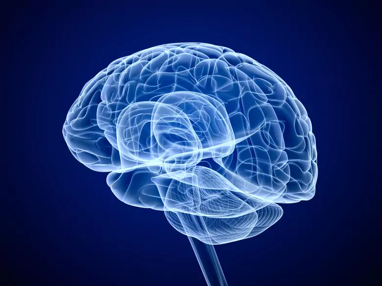 Udar mózgu - objawy, jak rozpoznać