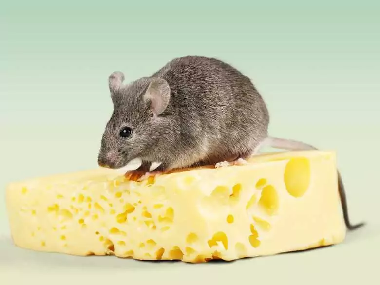 Aktywność fizyczna a ryzyko raka wątroby