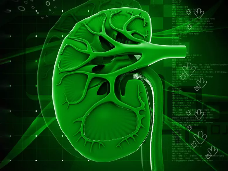 Niewydolność nerek, konieczność dializowania? Przyczyną mogą być niezdiagnozowane choroby