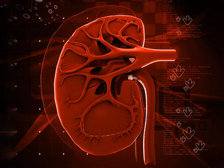 Przewlekła choroba nerek w centrum uwagi
