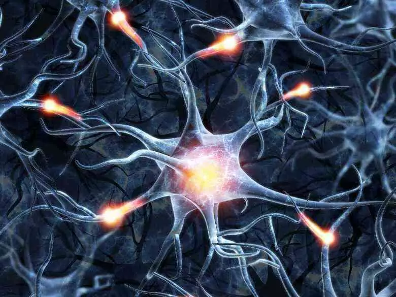 Czy problemy z pamięcią zawsze oznaczają demencję?