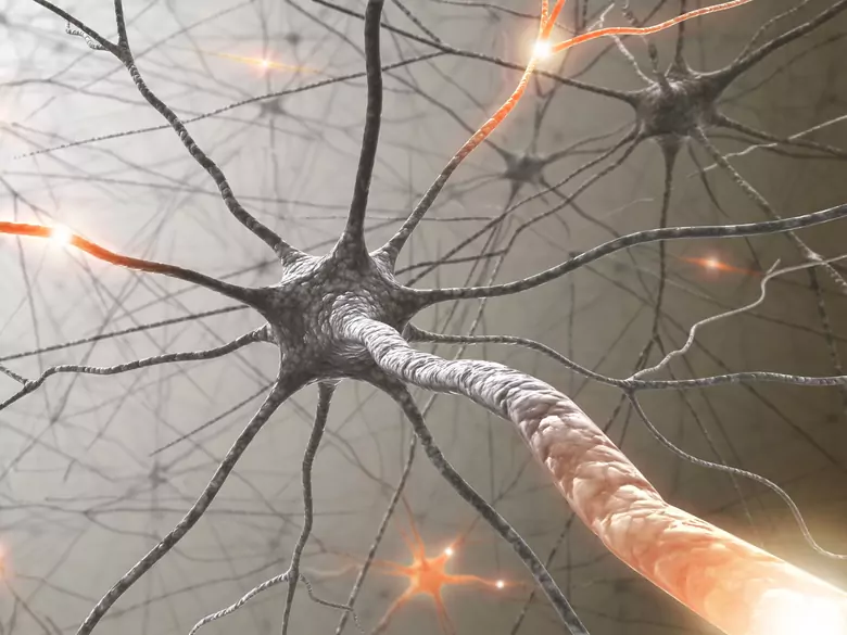 Porażenie nerwu trójdzielnego