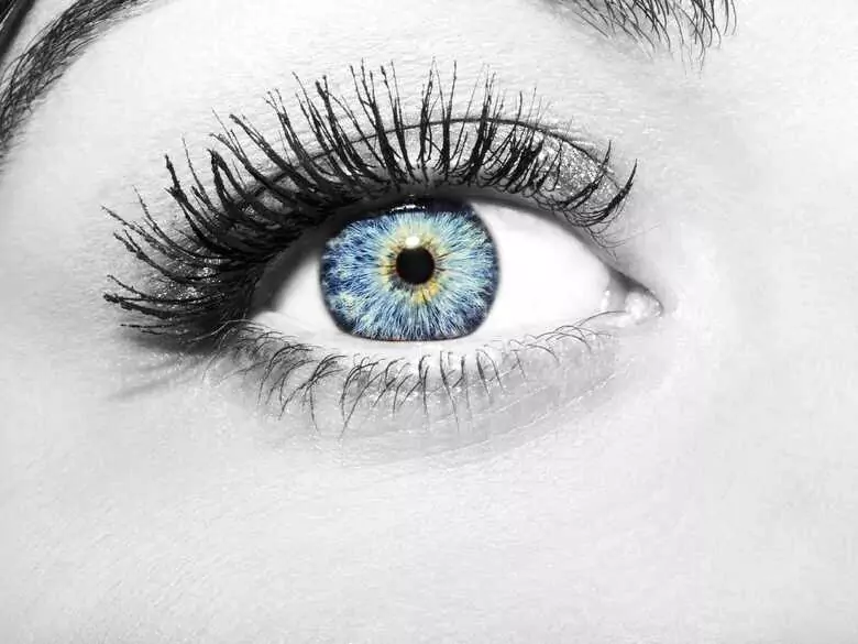 Tetrachromatyzm, kiedy widzimy miliony barw