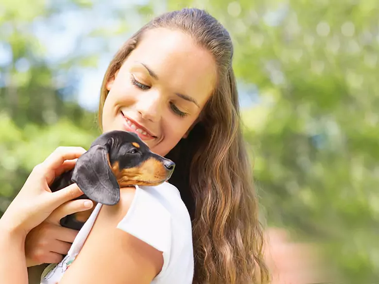 Jak usunąć sierść z dywanów - czyli mieszkanie z pupilem