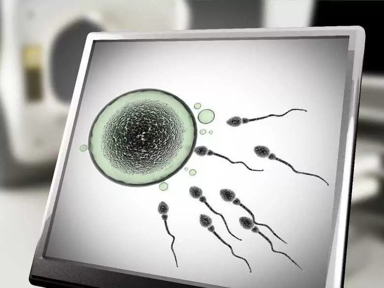 Ewolucja i rozwój człowieka w kontekście menopauzy i śródmacicznej selekcji zarodków