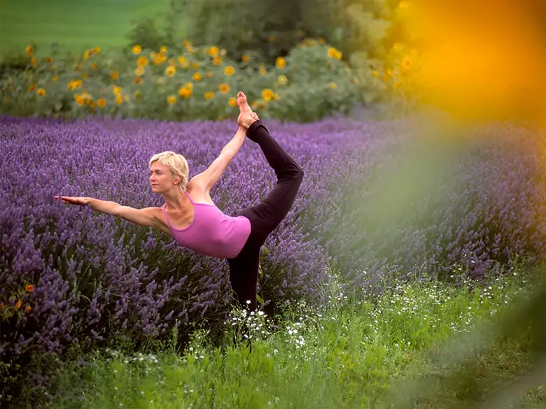 Jakie są korzyści z praktykowania tai chi?