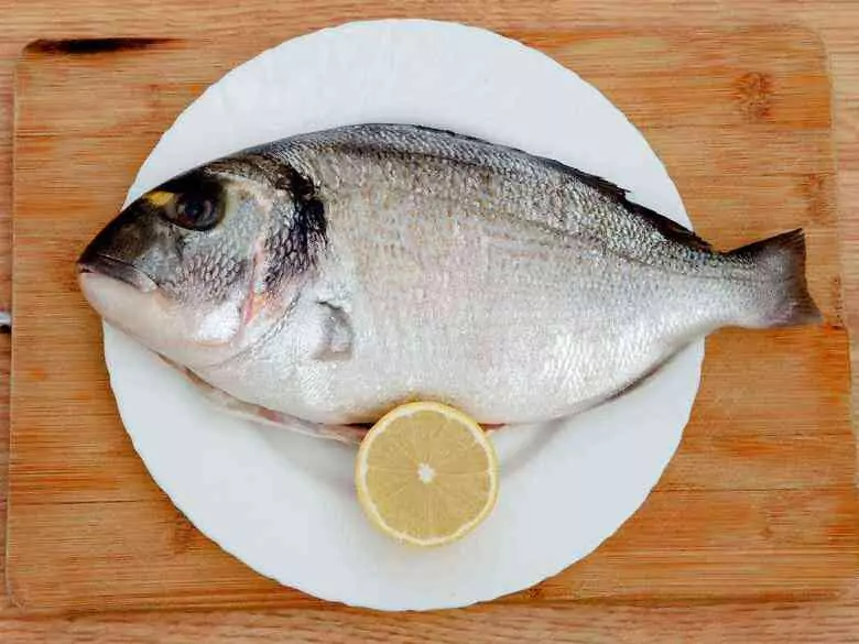 Choroba Parkinsona: wpływ właściwej diety na kontrolę schorzenia