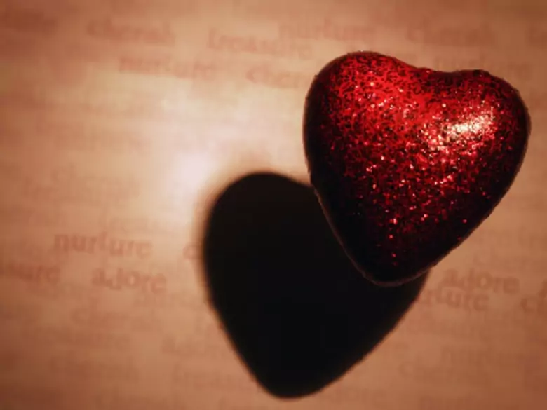 Budowa serca człowieka