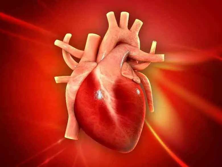 Co to jest sztuczne płuco-serce?