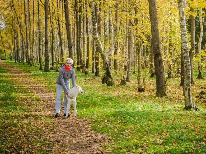 Przebywanie w lesie pozytywnie wpływa na zdrowie. Kąpiele leśne stają się coraz popularniejsze
