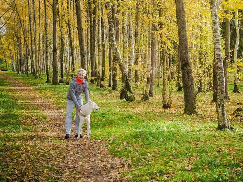 Czym jest psychoterratica?