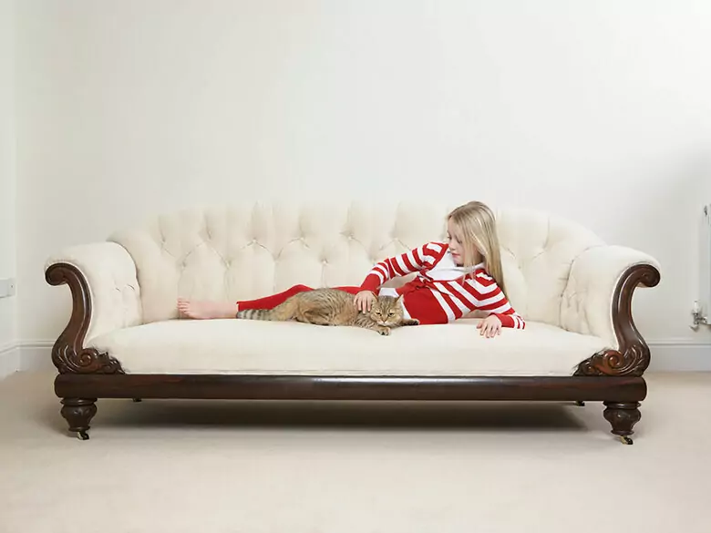 Świąteczne porządki oczami alergika