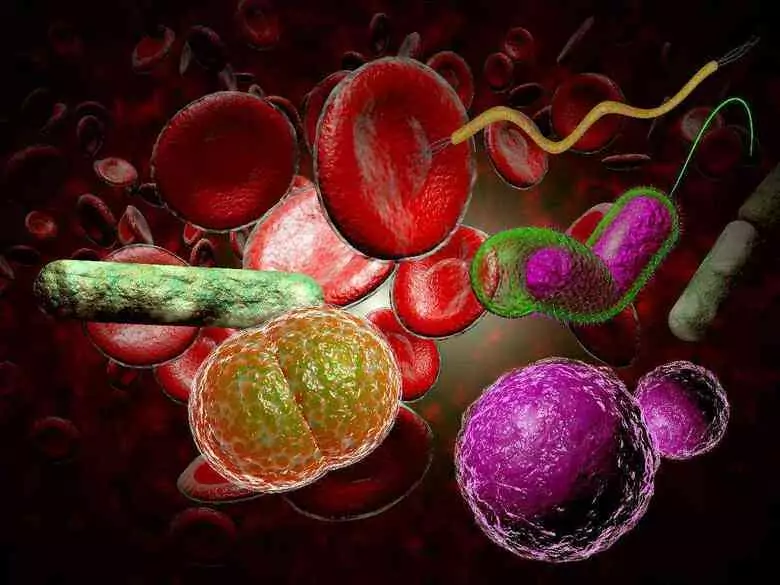 Rzeżączka – czym grozi i jak ją leczyć?